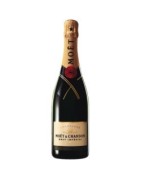 Sekt / Champagner